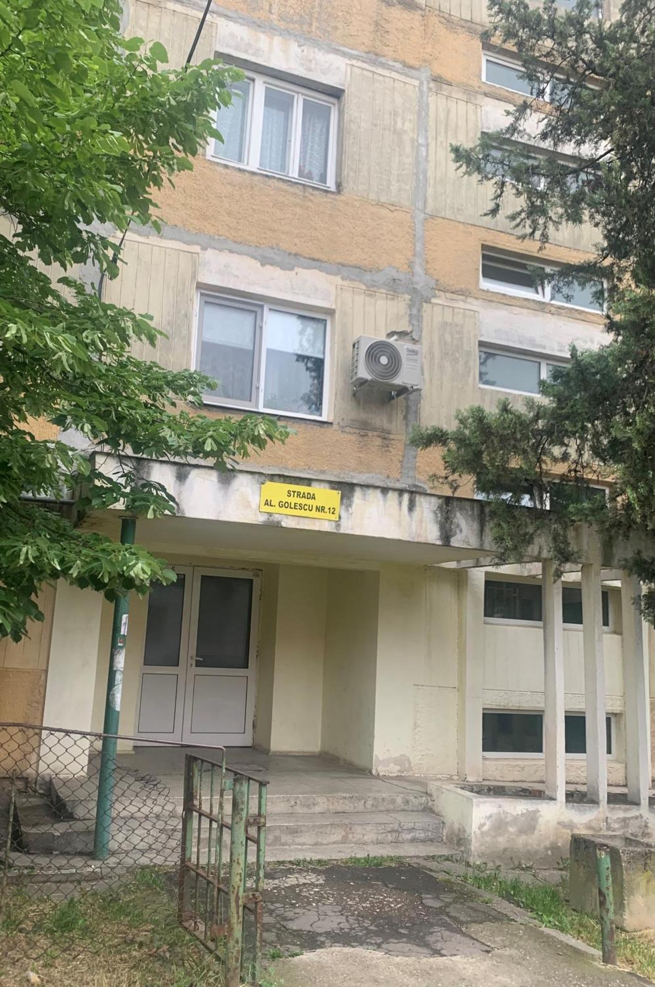 Monique'S Apartment 3 蒂米什瓦拉 外观 照片